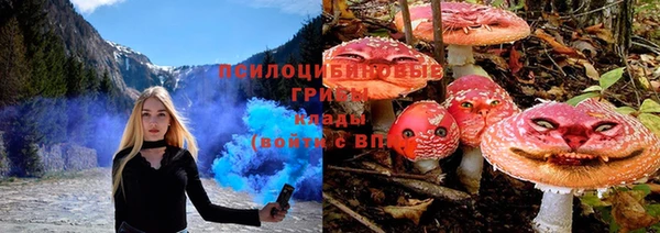 МДМА Ельня
