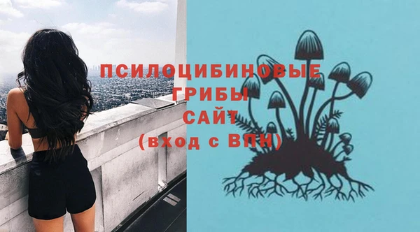 эйфоретик Дмитровск