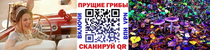 Галлюциногенные грибы мицелий  Купить закладки  Кандалакша 