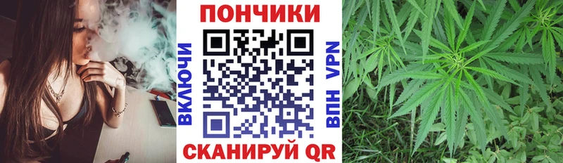 Купить  Кандалакша  Бошки марихуана гибрид 
